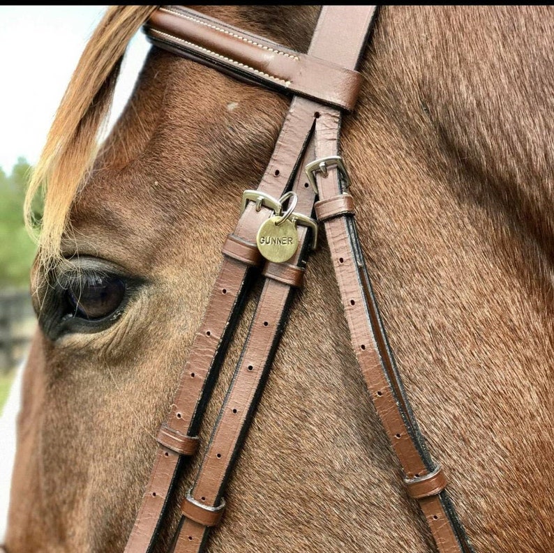 Custom Horse Tack Bridle Tag Custom Horse Halter Name Tag Etsy Custom Horse Tack Bridle Tag Custom Horse Halter Name Tag Etsy