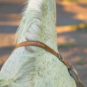 Custom Leather Wither Strap - Personalized Horse Tack, Western Saddle Breast Collar Addition