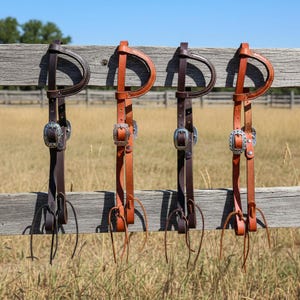 Puede incluir: Cuatro cabezadas de cuero para caballos en tonos marrones, colgadas de una valla de madera desgastada. Cada cabezada presenta una hebilla decorativa de color plateado y correas de cuero. El fondo muestra un campo de hierba seca y un cielo azul claro.