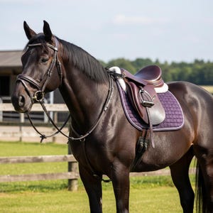 Personalized Leather English Saddle Grab Strap: Horse Rider Training Aid