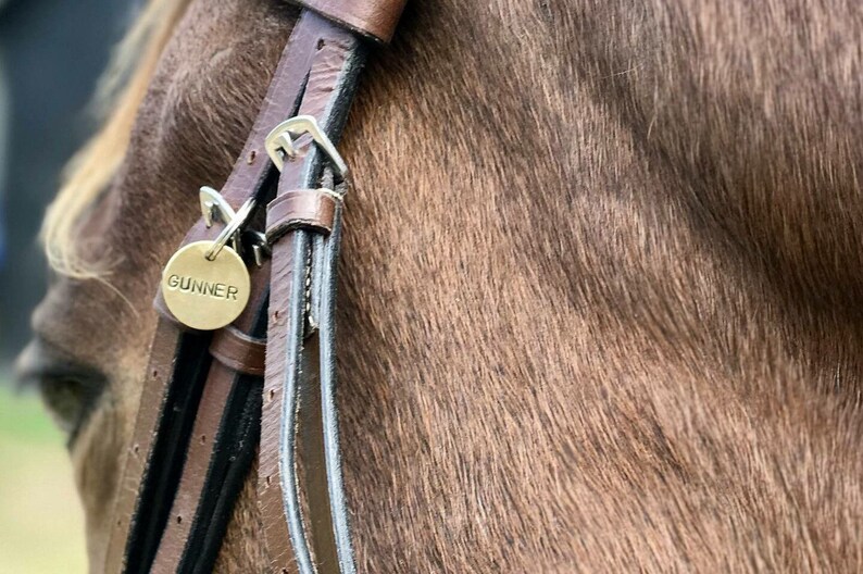 Custom Horse Tack Bridle Tag Custom Horse Halter Name Tag Etsy