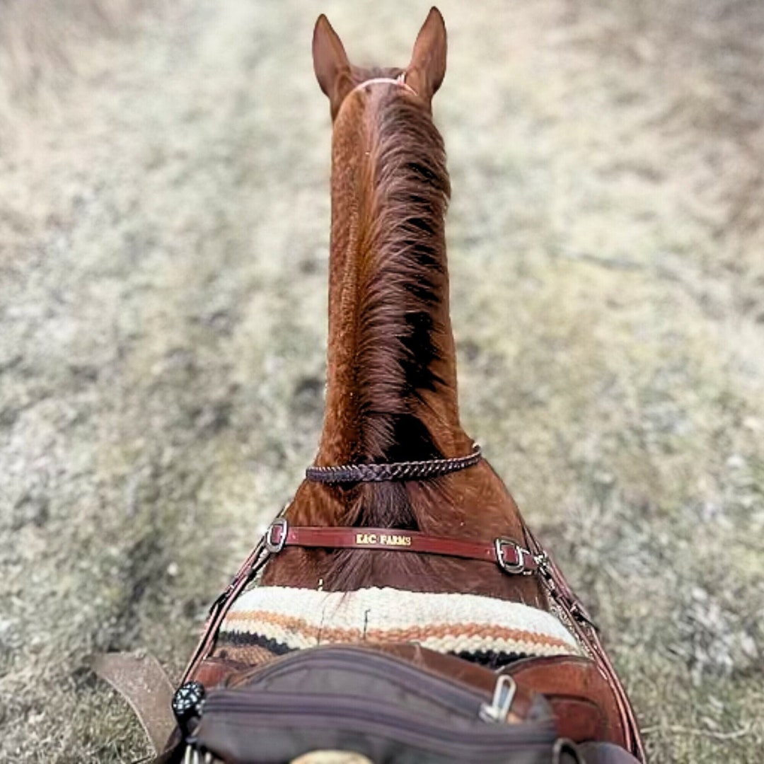 Custom Leather Wither Strap Personalized Horse Tack Western Etsy