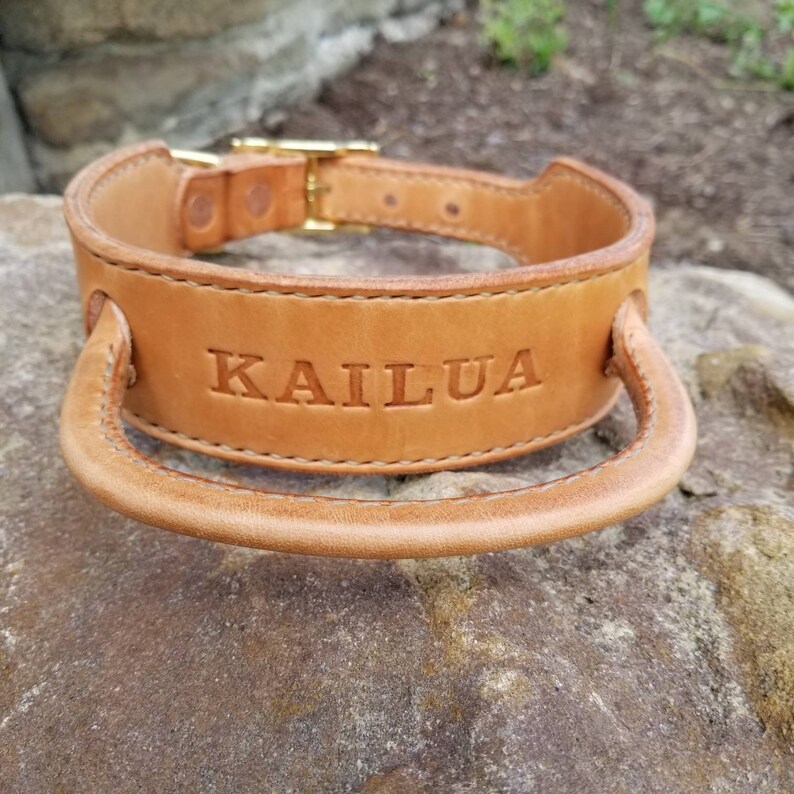 2 Custom Thick Leather Dog Collar with Rolled Handle and Etsy
