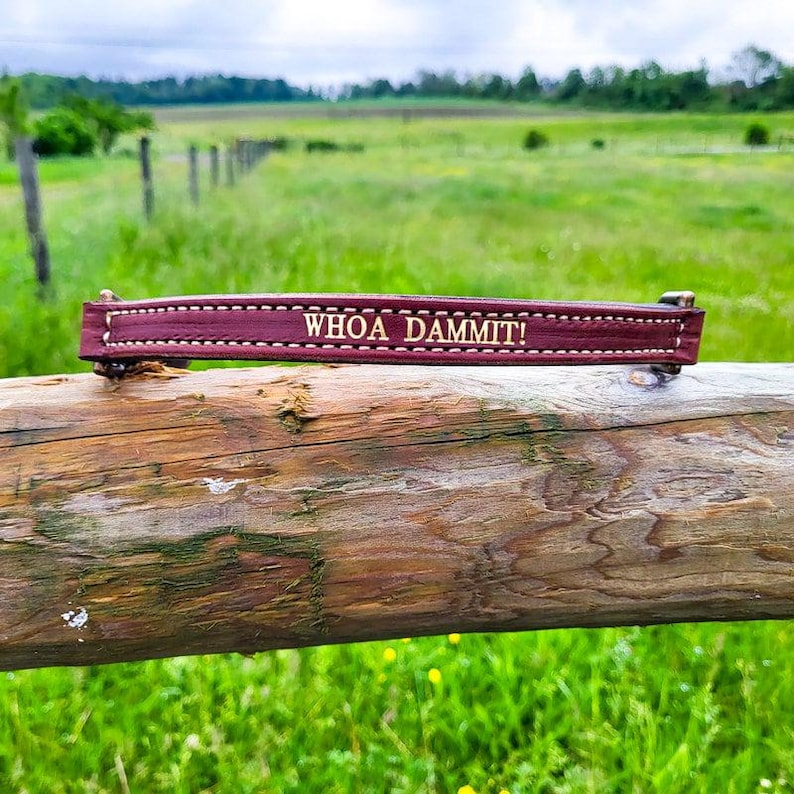 Personalized Leather English Saddle Grab Strap: Horse Rider Training Aid