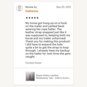 Rope Halter Leather Breakaway Tab