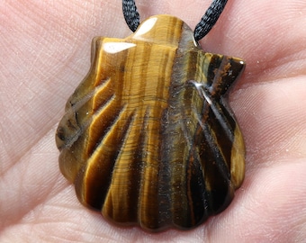 Tigerauge (Muschel) | Halskette mit Band oder Silber 925 --- Stein-Größe: 40 x 36 mm