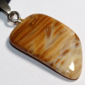 Petrified palm wood | necklace with cord or silver 925 --- stone size: 25 x 14 mm / 0.98 x 0.55 inches