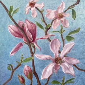 Magnolie