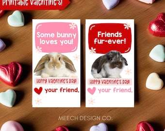 Bunny Valentine Cards, Printable Rabbit Valentines, Animal Valentines, Pet Valentines, Cute Valentines for Vday, Valentines for Kids Class