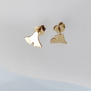 May include: A pair of gold-tone ginkgo leaf stud earrings. The earrings are small and delicate, and they would make a great gift for someone who loves nature.
