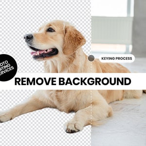 Puede incluir: Un perro Golden Retriever está tumbado con la boca abierta en una imagen dividida. El lado izquierdo muestra un fondo transparente, el lado derecho un interior borroso. El texto dice "REMOVE BACKGROUND" y "PHOTO EDITING SERVICES".