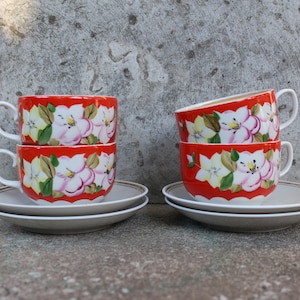 Ukraine Set of 4 Tea Cups with Saucer, Hand Painted Mismatched Set, Made in Ukraine, Baranivka Porcelain Factory