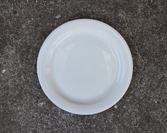Arabia of Finland ARCTICA Dinner Plate Designed by Inkeri Leivo, Scandinavian Design