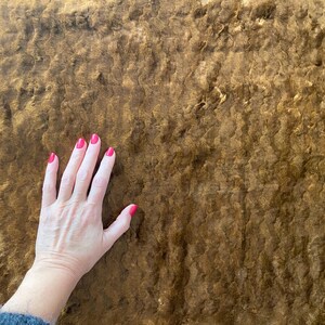 May include: A hand with pink nail polish rests on a brown, textured surface. The surface has a fuzzy, almost furry texture.