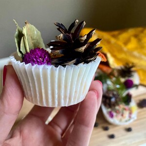 May include: A white cupcake liner filled with dried flowers and a pine cone. The cupcake liner is being held by a hand.
