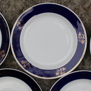 Ukraine Plates Set of 5 Plate. Vintage Plate Salad Plate with Cobalt Blue and Gold Decoration Tableware. Collectible Baranivka Porcelain