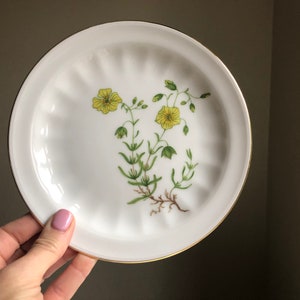 Petite assiette vintage Carl Von Linne, « Hdianthemum vulgare », assiette à base de plantes, botanique, fabriquée en Allemagne, collection