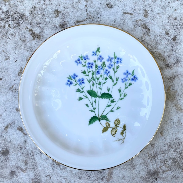 Vintage kleiner Teller, "Veronica Chamaedrys, Carl Von Linne, Herbal, Botanical Plate, Made in Germany, Sammlerstück."
