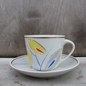 Ukraine Hand Painted Coffee or Tea Cups with Saucer, Baranivka Porcelain Factory Vintage Drinkware Made Ukraine Collectible