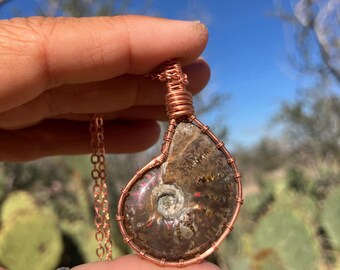 Ammonite fossil necklace