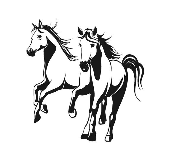 Horse Pony Decal Horse Wall Sticker Girls Teen Bedroom Wall Decor Dorm Room Mustang 28 X 29 Inches