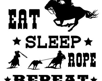 Horse, horse quote decal, rodeo, western wall decor, room decor, vinyl wall decor, 26 X 27 inches.