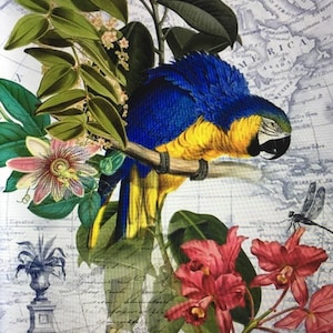 2 Paper napkins for mixed media, collage, scrapbook, decoupage PACK OF TWO Ara
