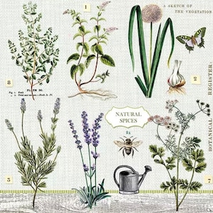 2 grandi tovaglioli di carta rari per tecniche miste, collage, scrapbooking, decoupage CONFEZIONE DA DUE Giardino delle erbe