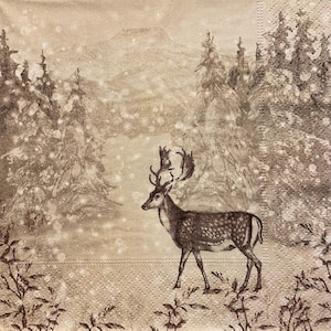 2 grandi tovaglioli di carta rari per tecniche miste, collage, scrapbooking, decoupage SET DI DUE Neve invernale