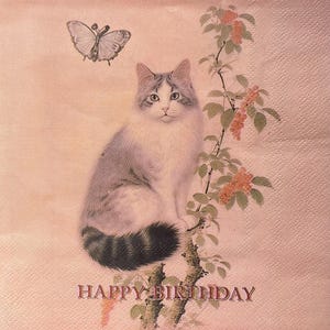 2 grote papieren servetten voor mixed media, collage, plakboek, decoupage TWEE PARTIJEN Happy Birthday