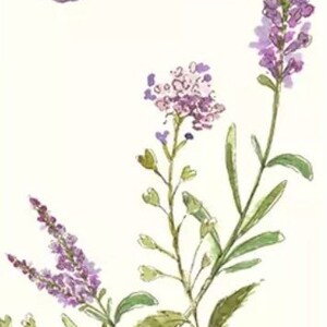 2 tovaglioli/fazzoletti di carta singoli per tecniche miste, collage, scrapbooking, decoupage CONFEZIONE DA DUE Campo di Lavanda
