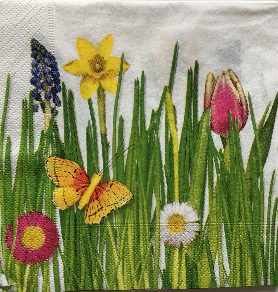 2 Rare, Out of Print Large Paper Napkins for Mixed Media, Collage, Scrapbook, Decoupage PACK OF