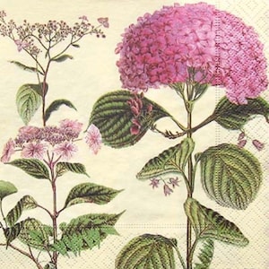 2 large rare out of print paper napkins for mixed media, collage, scrapbook, decoupage PACK OF TWO Hydrangea