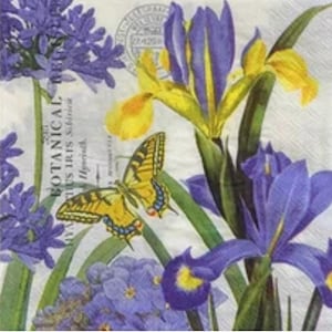 2 grandi tovaglioli di carta per tecniche miste, collage, scrapbooking, decoupage CONFEZIONE DA DUE Iris Botanico