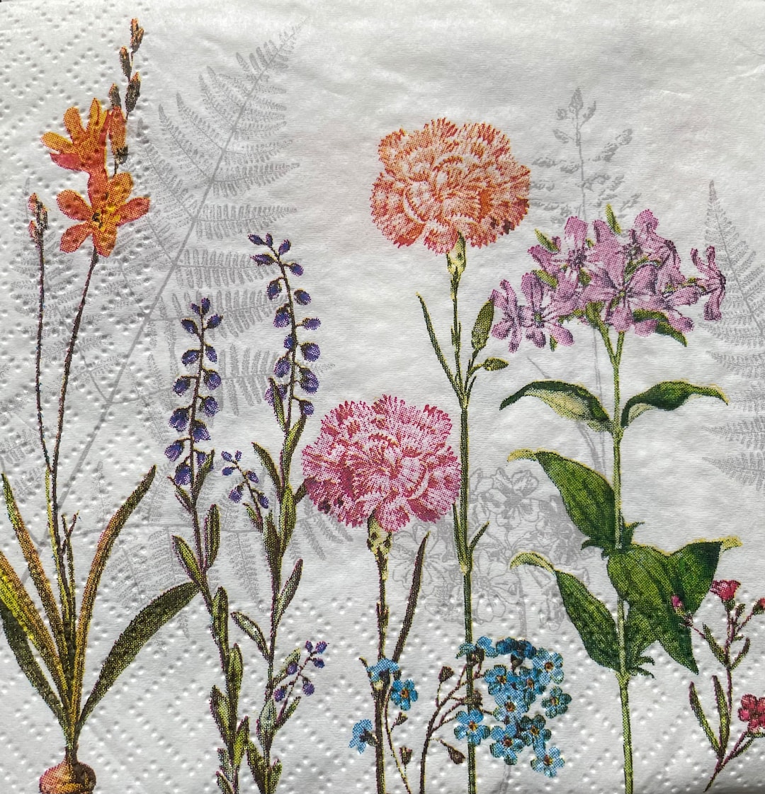 2 Cocktail Size Napkins for Mixed Media, Collage, Scrapbook, Decoupage