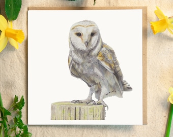Barn Owl Greetings Card, British Wildlife, British Birds, Wildlife Gift