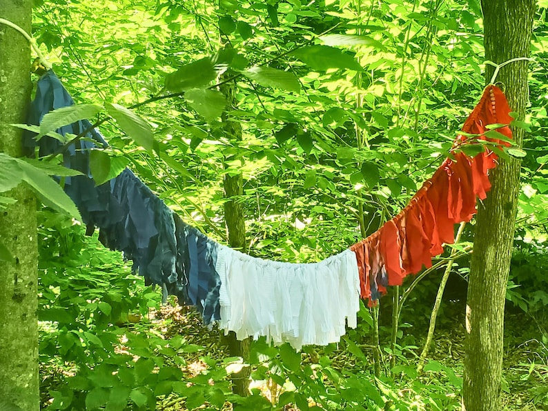 Pu&ograve; includere: Una ghirlanda colorata di tessuto rosso, bianco e blu, tesa tra gli alberi. La ghirlanda &egrave; fatta di tessuto a balze, creando un'esposizione festosa e decorativa. Lo sfondo &egrave; pieno di verde lussureggiante.