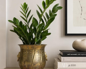 Brass Lion Head Planter | Antique Brass Cache Pot