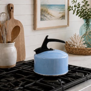 May include: A light blue stovetop kettle with a black handle and spout mechanism, positioned on a black gas range. The kettle has a smooth, rounded body and a flat base, designed for heating water on a kitchen stove burner.