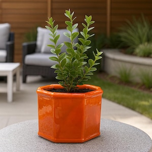 Vintage Indoor or Outdoor Orange Ceramic Planter Pot