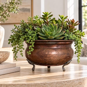 May include: A round, hammered copper planter with three ornate, claw-style feet. The vessel is filled with a variety of green succulents, including trailing string of pearls and a central rosette-shaped succulent with reddish-tipped leaves.