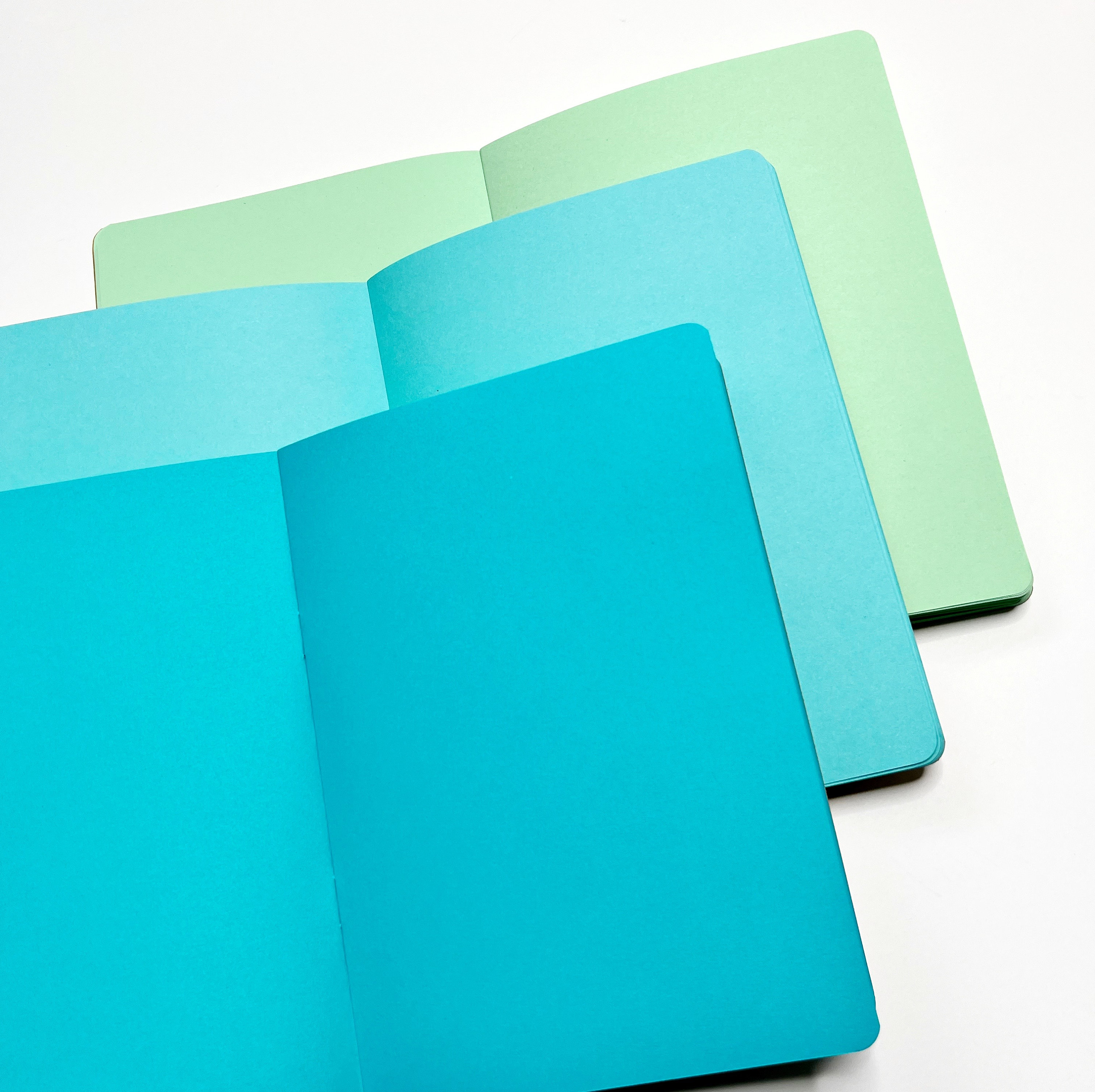BLANK Traveler's Notebook Insert - Choice of 23 Colors and 8 Sizes