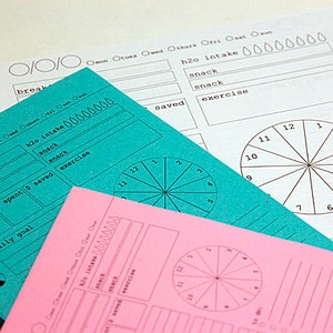 Daily Organizer Planner Paper fits Filofax Personal or A5 size Planners