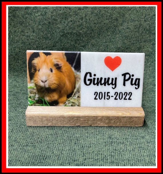 Pet Memorial Stone Marble Tile w Stand,  3"x 6", Personalized w/Your Photo, Guinea Pig, Cavy, Hamster, Gerbil, Fur Baby, Free Shipping