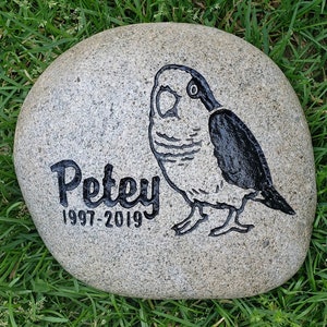 EXOTIC BIRDS Parrots, Cockatoo & more Breeds of Birds stones between 9”/10” or 7”/8&quot; Memorial. Personalized Name Engraved Option to add Date
