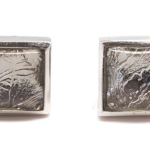 Iron Meteorite Earrings