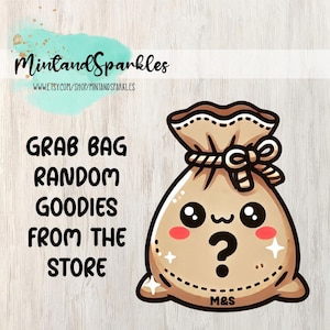 Grab Bags - chicche casuali del negozio