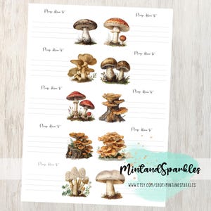 Forest Mushrooms PDT Stickerlabels