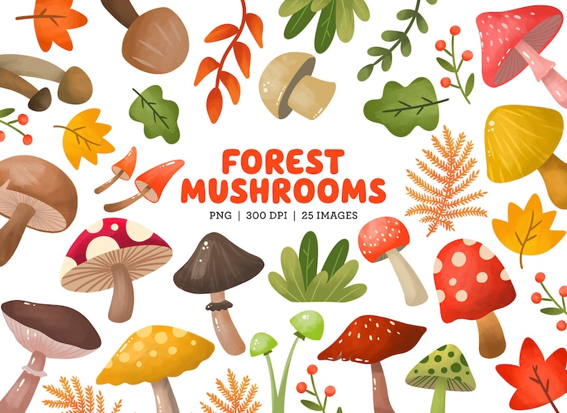 Puede incluir: Una colecci&oacute;n de 25 setas de bosque ilustradas en varios colores y estilos, incluyendo setas rojas, marrones, amarillas y blancas con manchas y puntos. Las setas est&aacute;n rodeadas de hojas, ramas y helechos. El texto "FOREST MUSHROOMS" est&aacute; escrito en letras naranjas en la parte superior de la imagen. El texto "PNG | 300 DPI | 25 IMAGES" est&aacute; escrito en letras negras debajo del t&iacute;tulo.