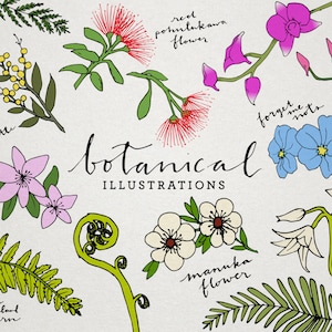 Botanische Clip Art - florale Illustrationen, tropische Blumen Clipart, Neuseeland Pflanzen, Orchideen, Farne, Lilien, Flora und Fauna, Blätter